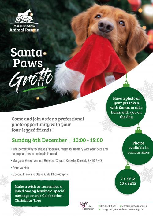 Santa Paws Grotto Poster